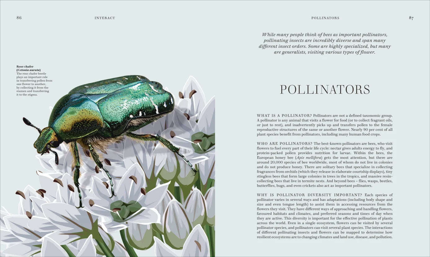 Insects - By The Royal Entomological Society (Hardback)