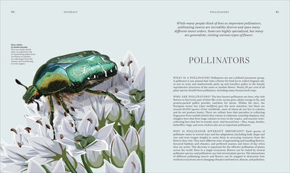Insects - By The Royal Entomological Society (Hardback)
