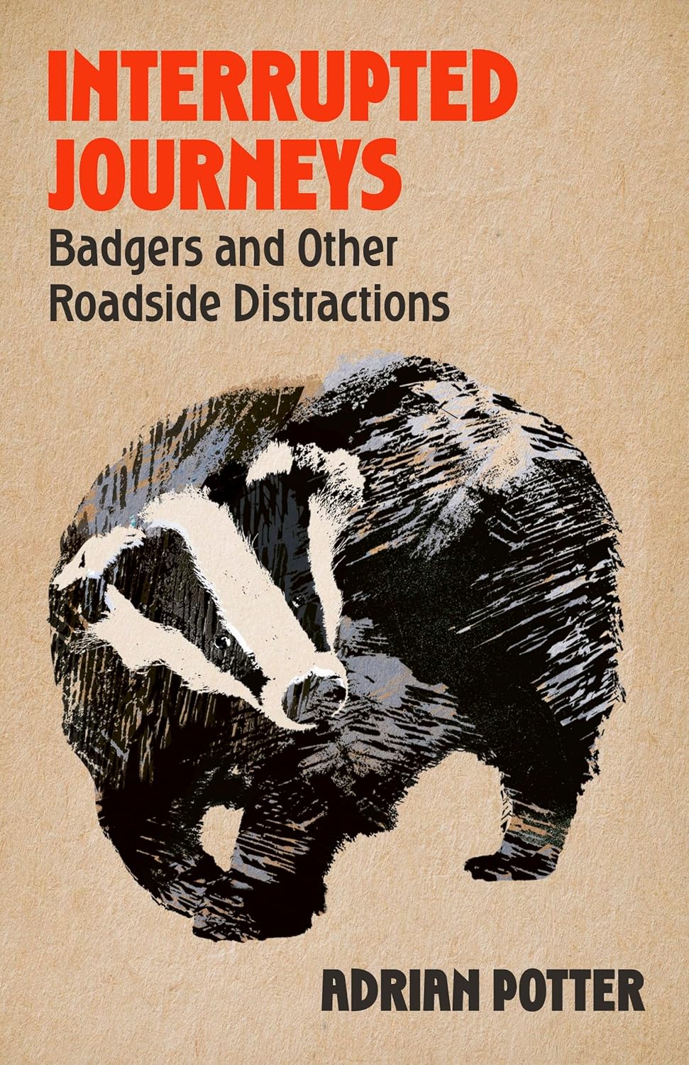Interrupted Journeys: Badgers and Other Roadside Distractions- By Adrian Potter