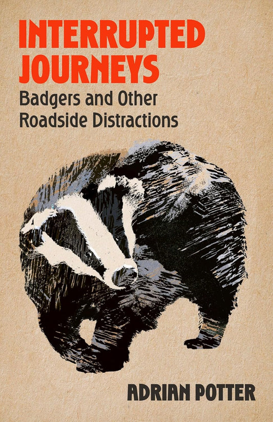 Interrupted Journeys: Badgers and Other Roadside Distractions- By Adrian Potter