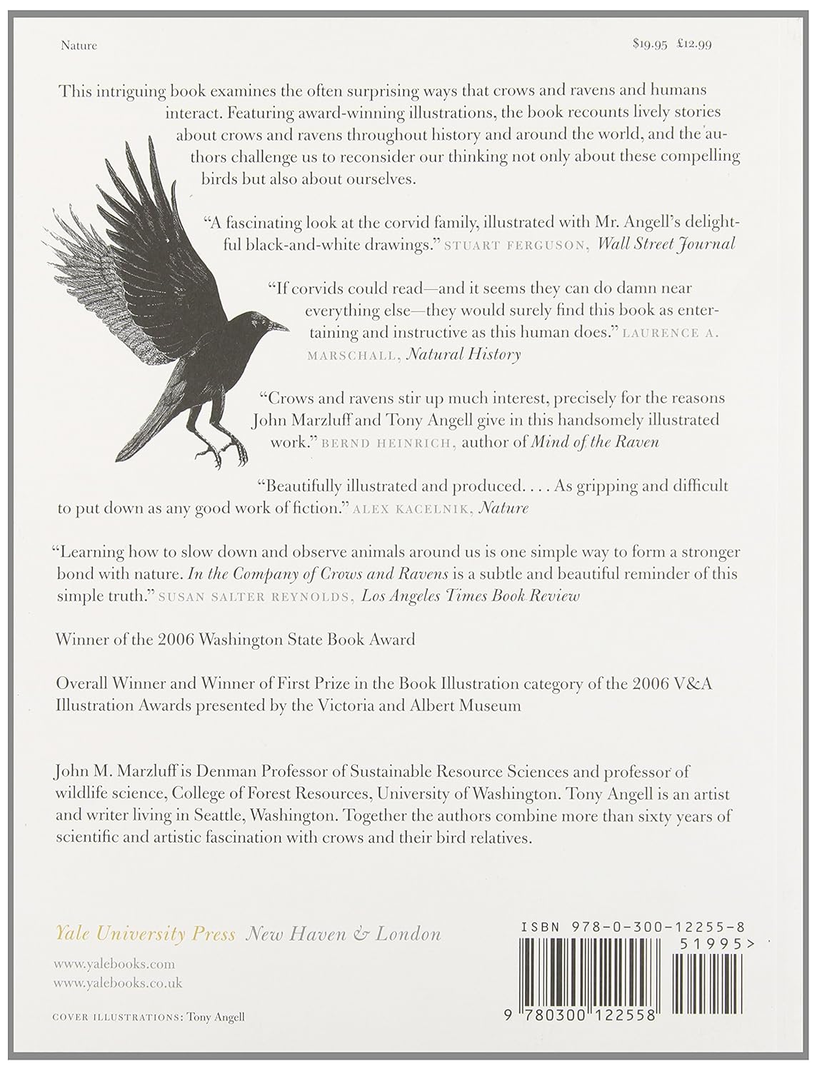 In the Company of Crows and Ravens - By John M. Marzluff & Tony Angell