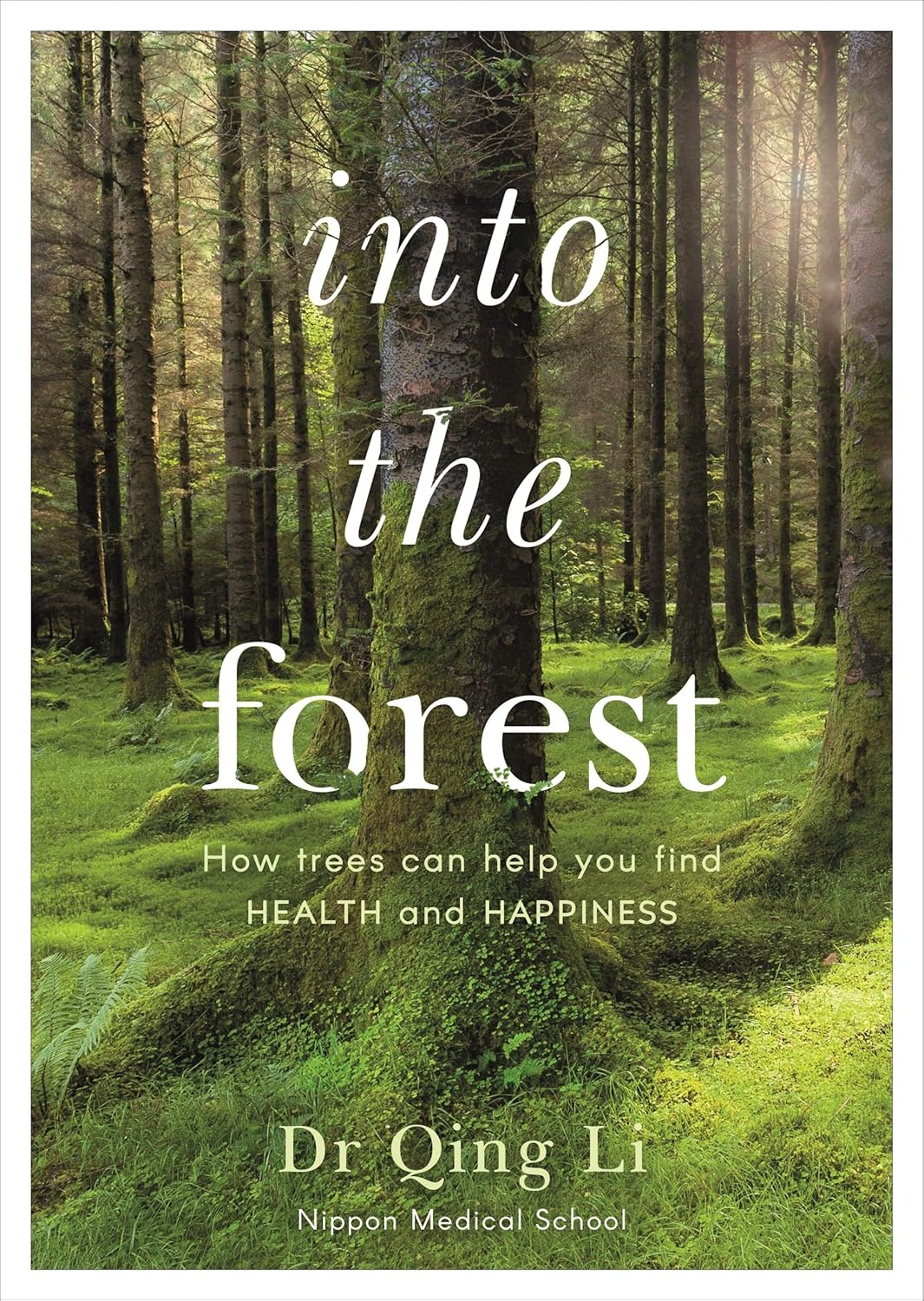 Into the Forest - By Dr Qing Li