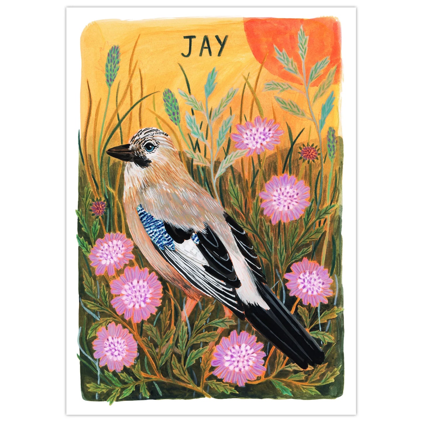 Jay Art Print