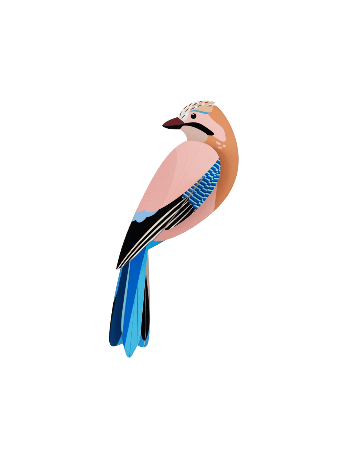 Jay - StudioROOF