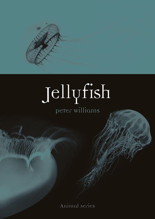 Jellyfish - By Peter Williams