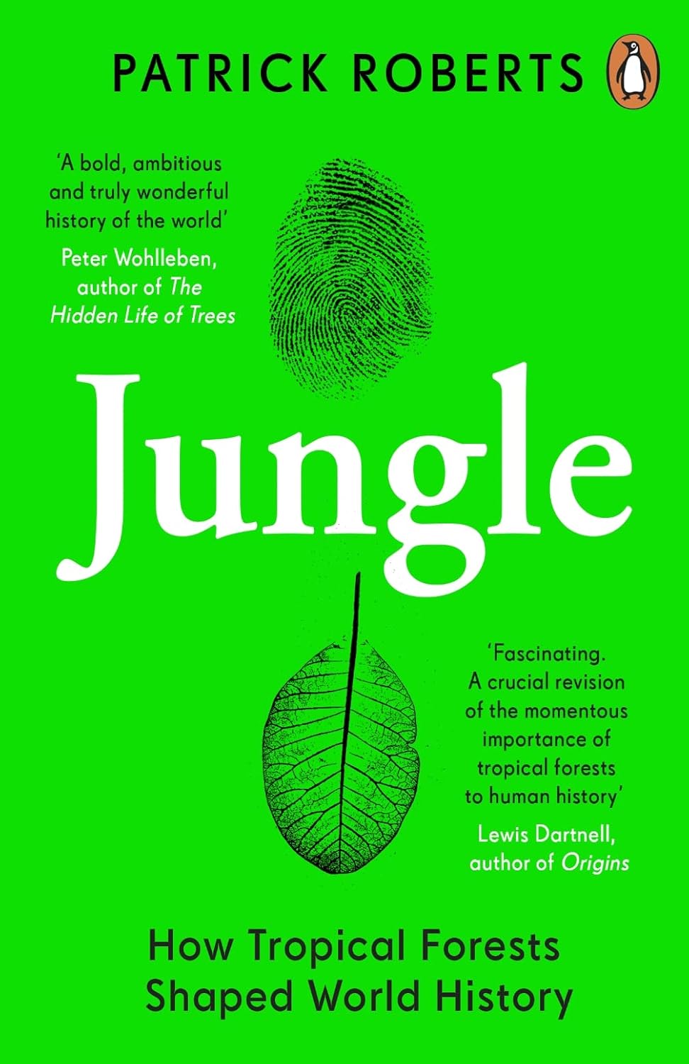 Jungle - By Patrick Roberts