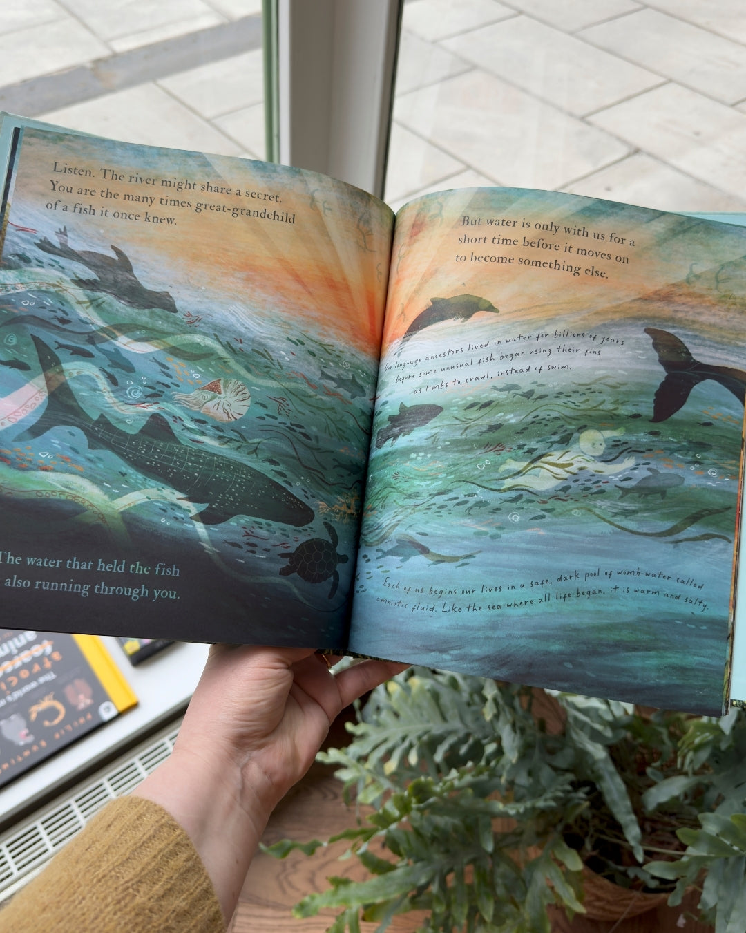 30th June - WILD KIDS EVENT - A River Running Through You with Amy-Jane Beer