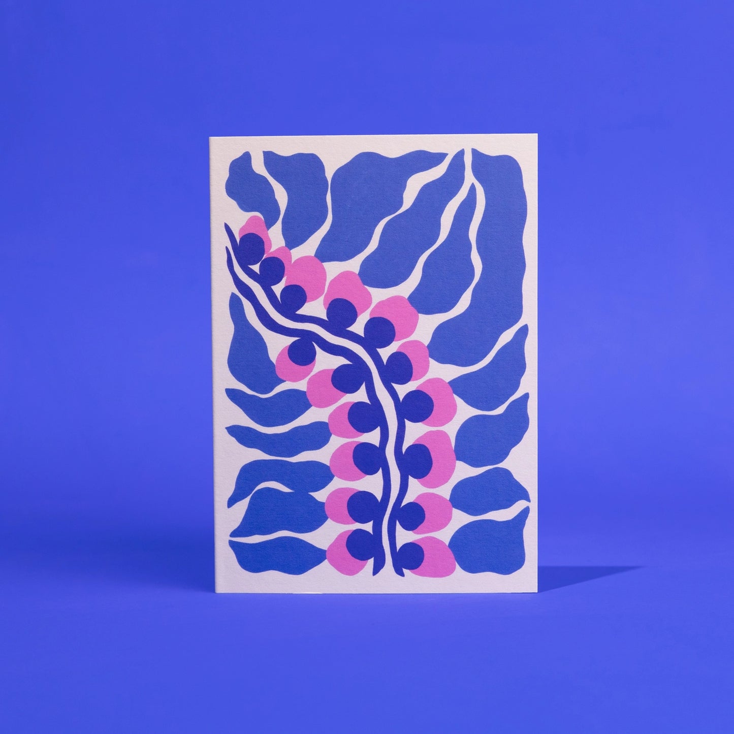 Kelp WWF - Greetings Card