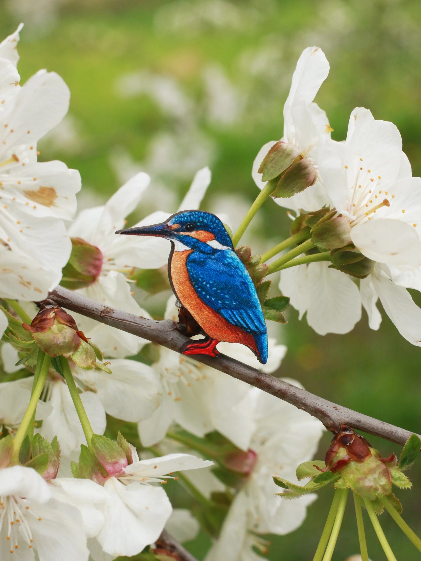 Kingfisher Pin