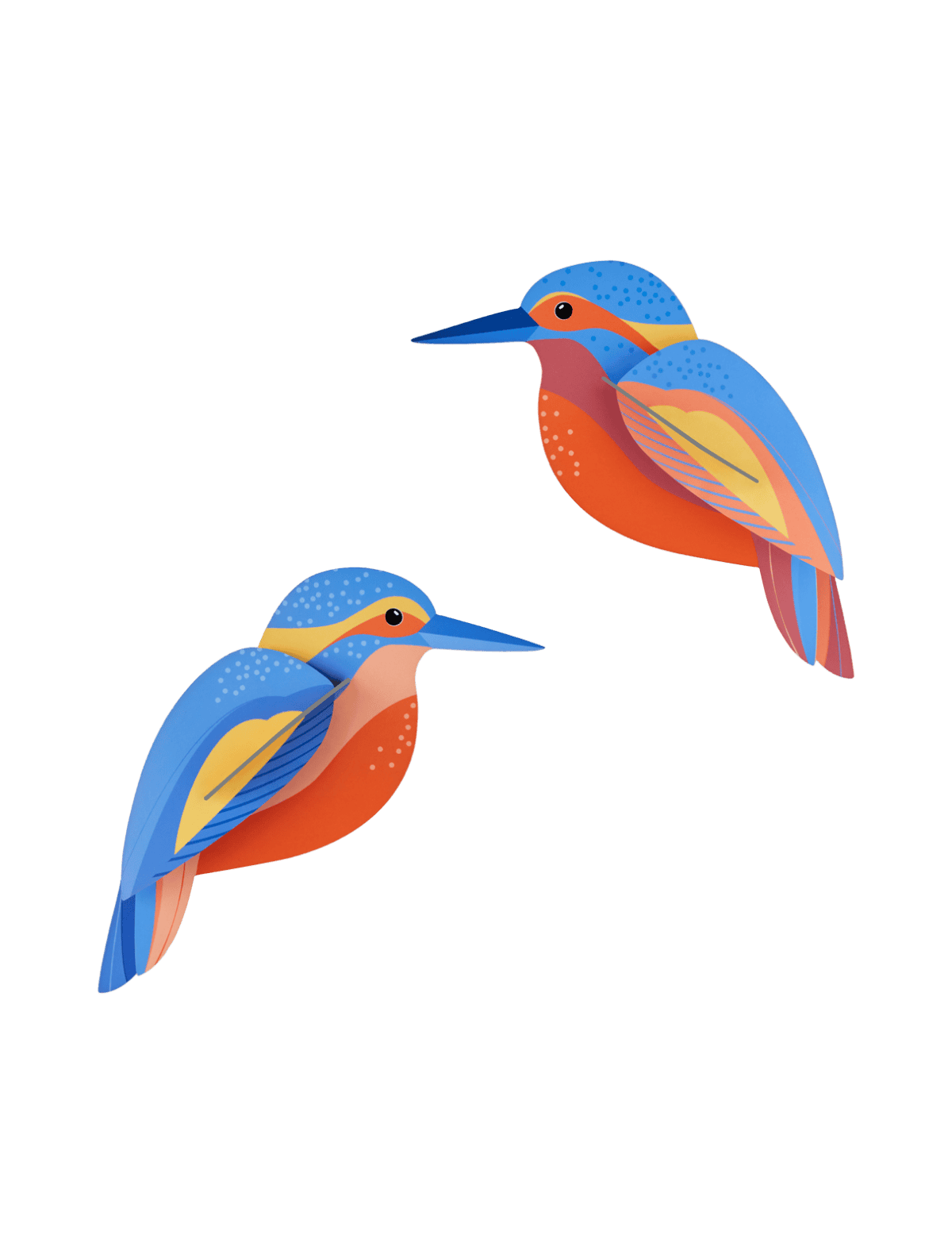 Kingfishers - StudioROOF