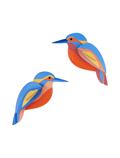 Kingfishers - StudioROOF