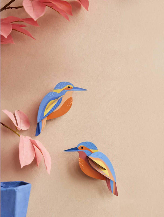 Kingfishers - StudioROOF