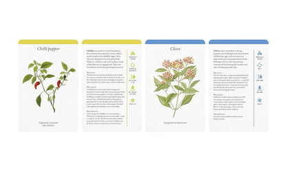 A Kitchen Full of Herbs - Practical Card Deck