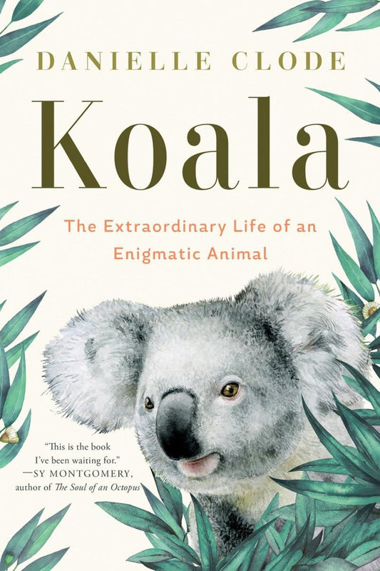 Koala: The Extraordinary Life of an Enigmatic Animal - By Danielle Clode