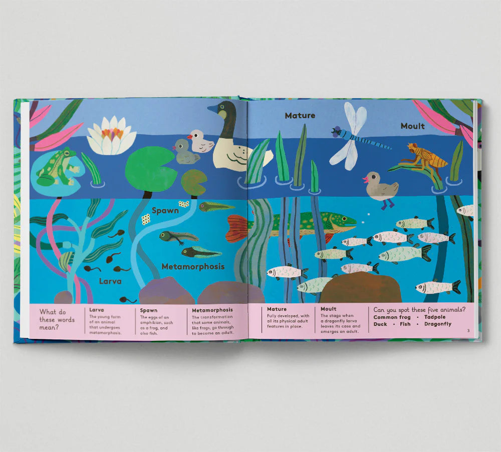 Little Word Whizz: Animal Words for Little Zoologists - By Will Millard, illustrated by Monica Forsberg