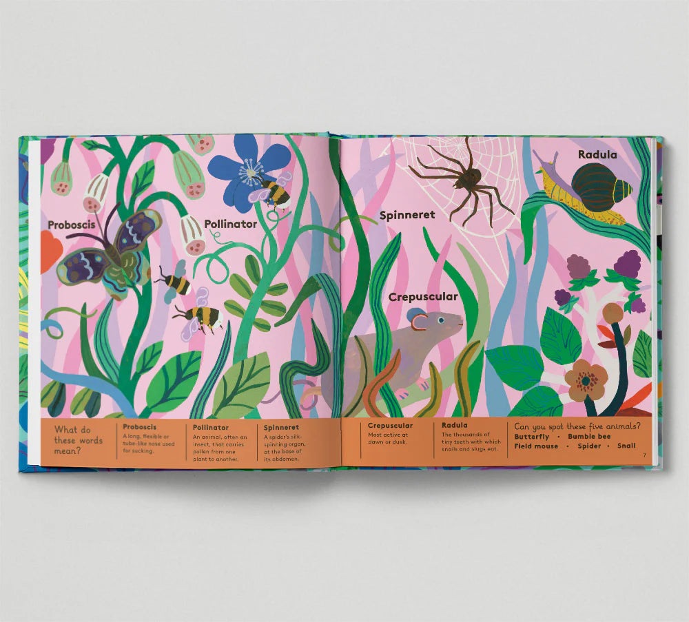 Little Word Whizz: Animal Words for Little Zoologists - By Will Millard, illustrated by Monica Forsberg