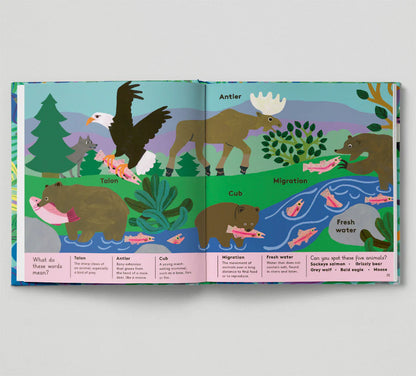 Little Word Whizz: Animal Words for Little Zoologists - By Will Millard, illustrated by Monica Forsberg