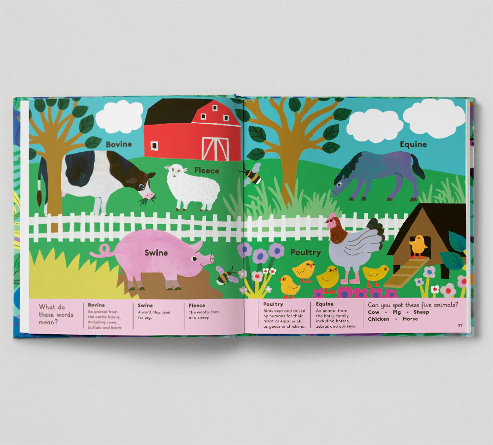 Little Word Whizz: Animal Words for Little Zoologists - By Will Millard, illustrated by Monica Forsberg