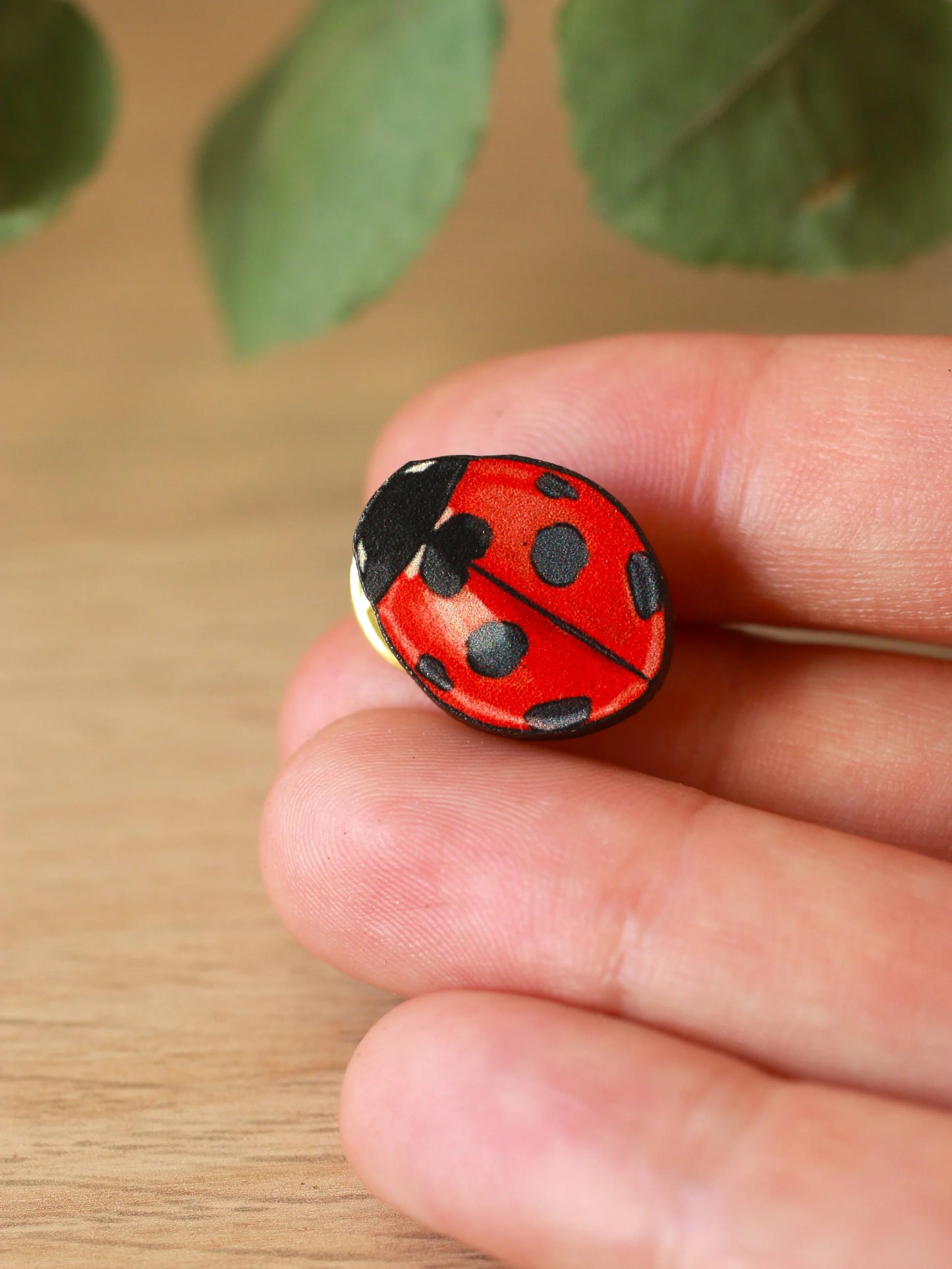 Ladybird Pin