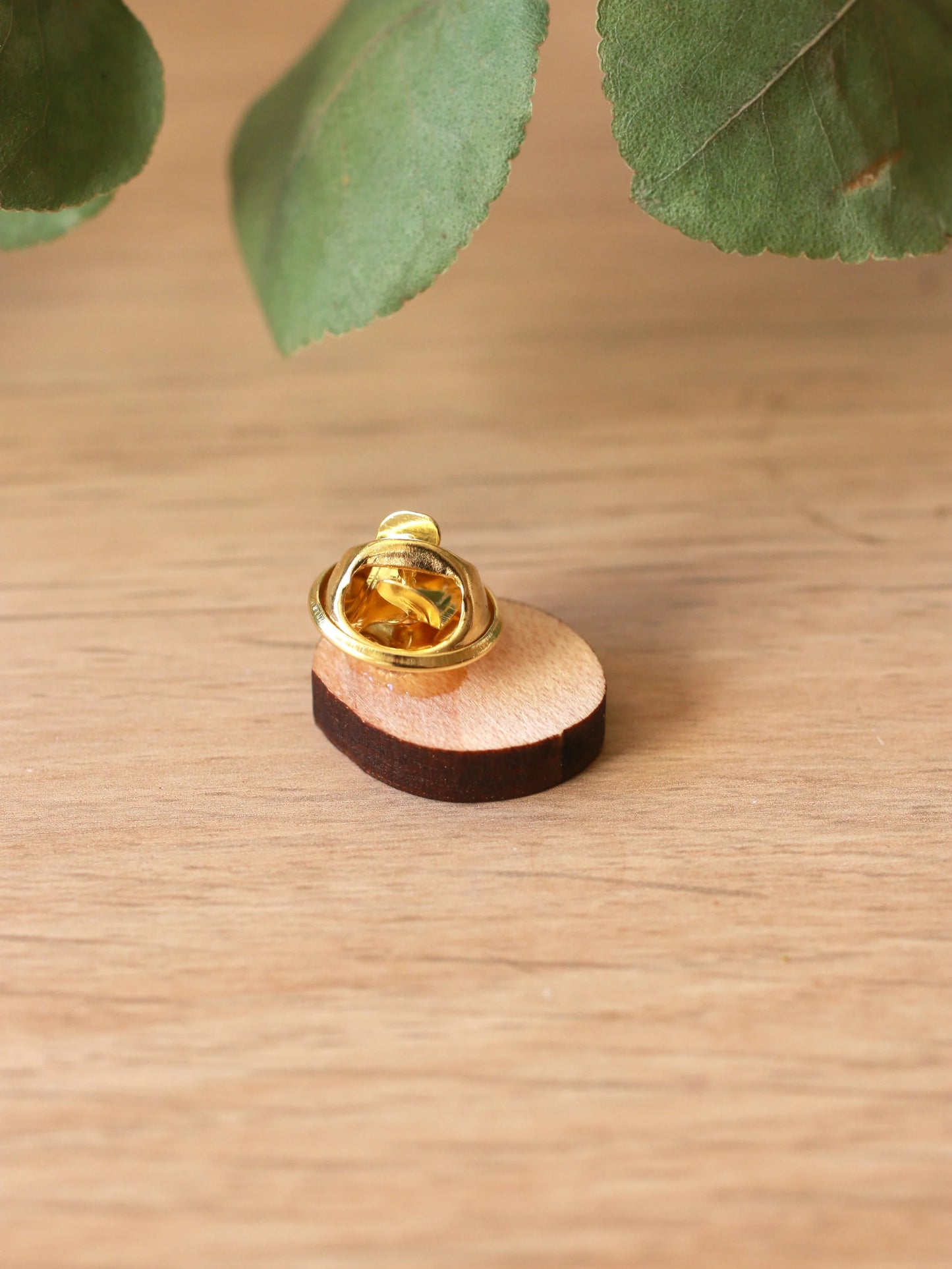 Ladybird Pin