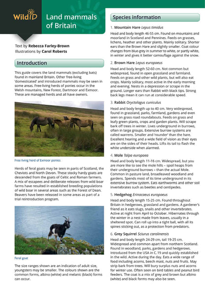 Land Mammals of Britain - Wild ID Guide