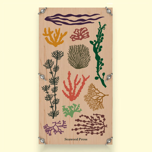 Large Seaweed Press