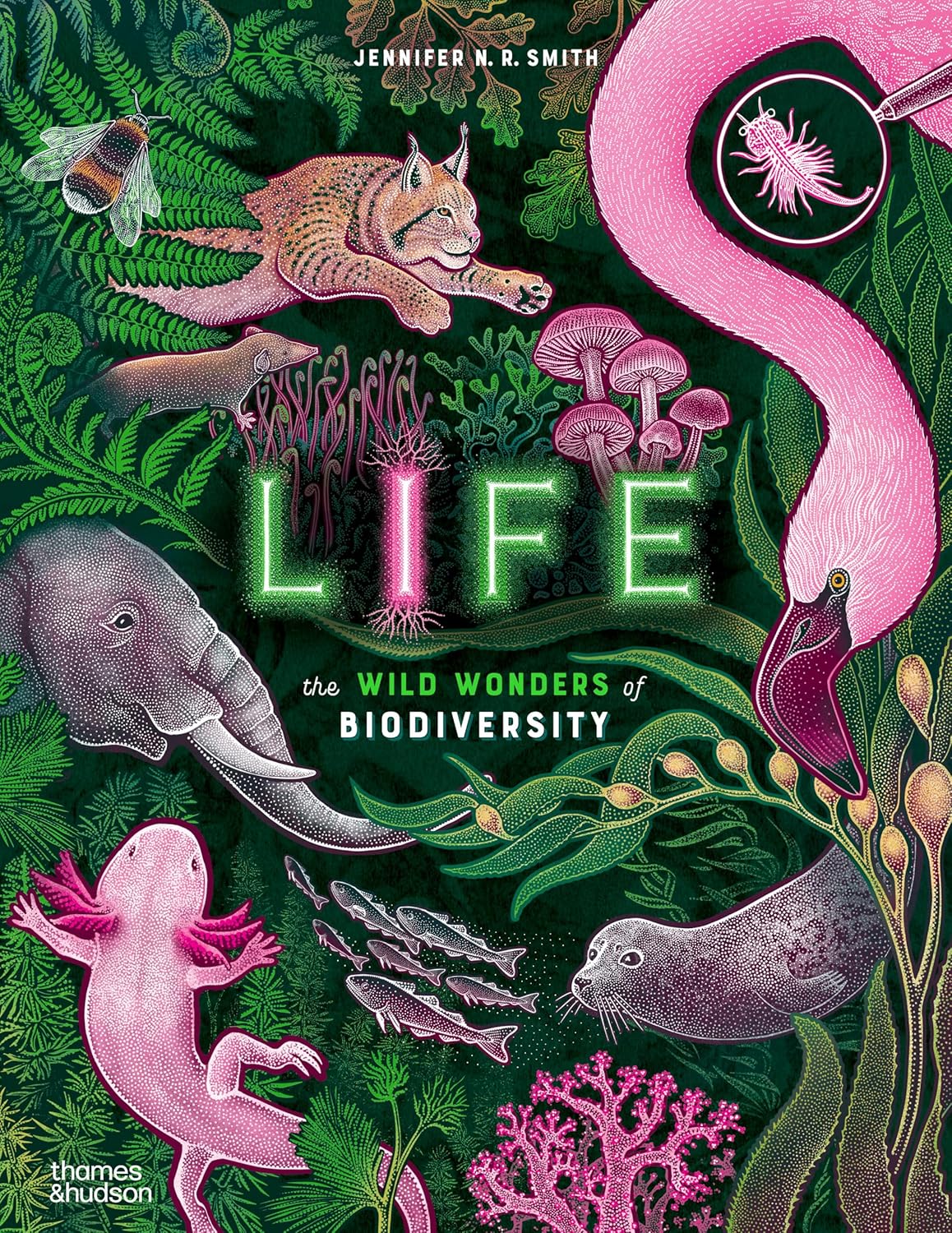 Life - by Jennifer N. R. Smith