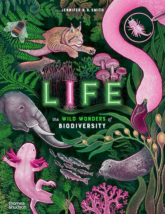 Life - by Jennifer N. R. Smith