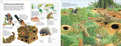 Life Underground - By Richard Orr