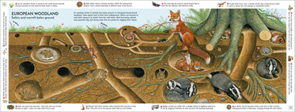 Life Underground - By Richard Orr