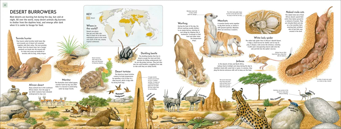 Life Underground - By Richard Orr