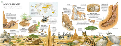 Life Underground - By Richard Orr