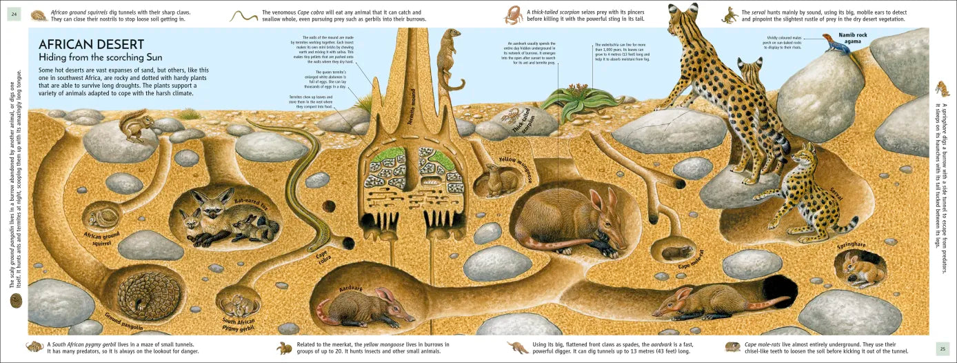 Life Underground - By Richard Orr