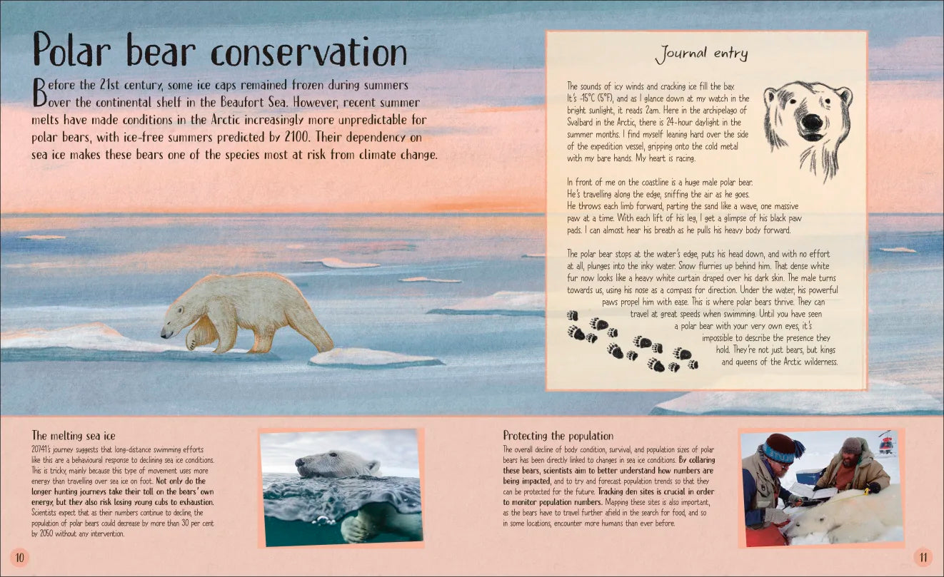 Life in the Wild - By Lizzie Daly