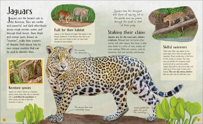 Life in the Wild - By Lizzie Daly
