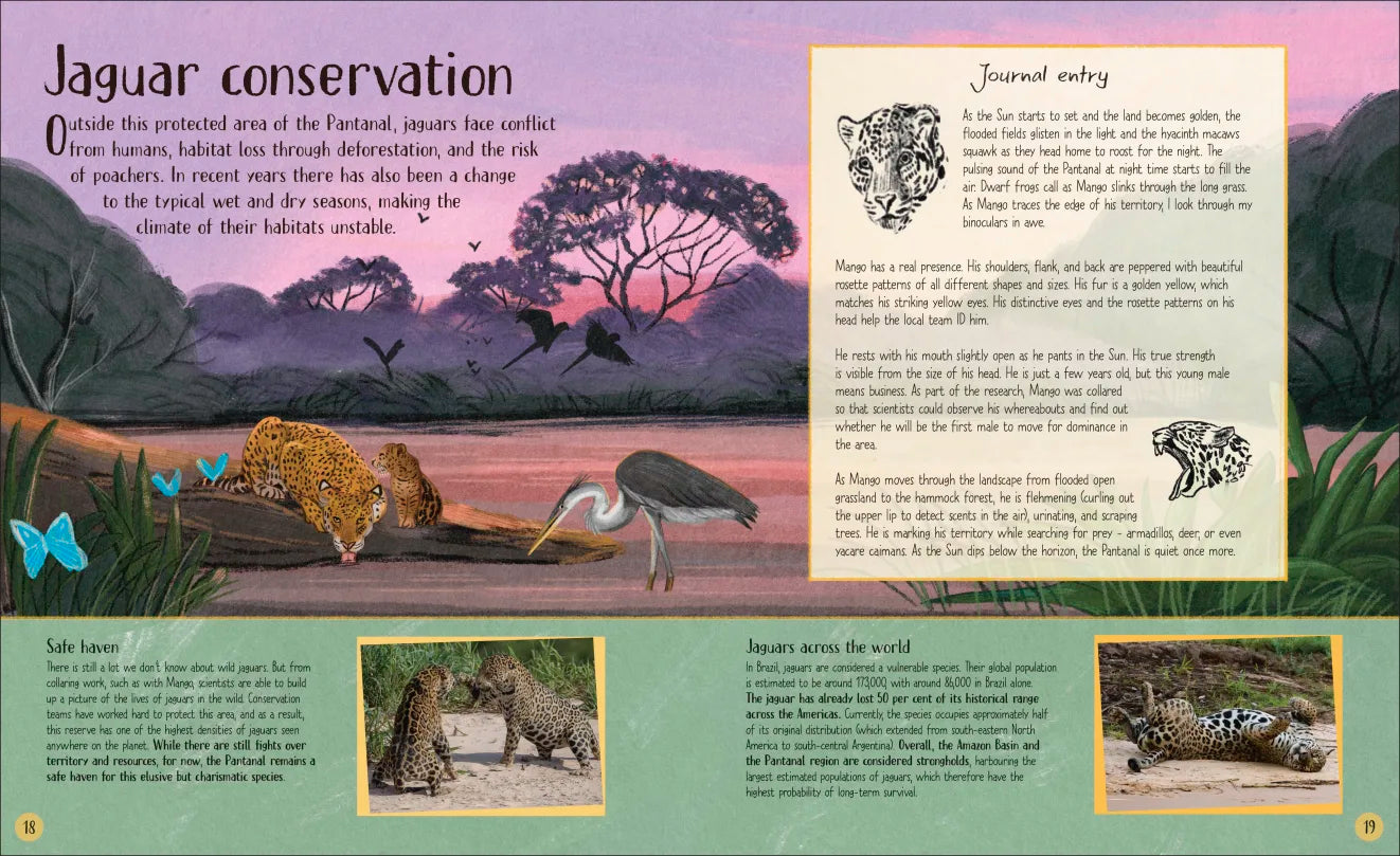 Life in the Wild - By Lizzie Daly