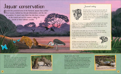 Life in the Wild - By Lizzie Daly