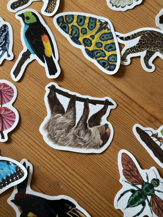 Linnaeus’s Two-Toed Sloth  - Vinyl Sticker