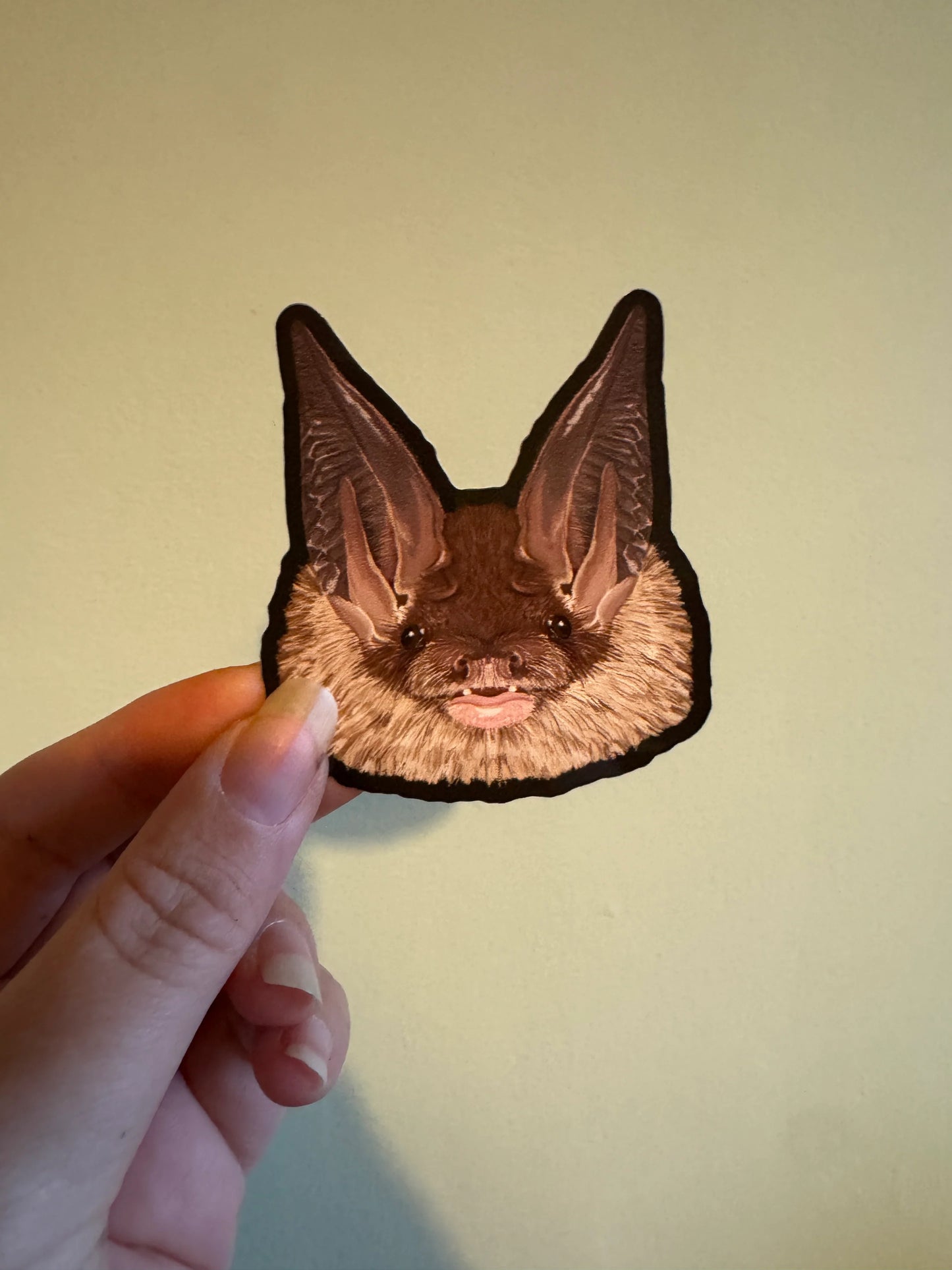 Long-eared Bat - Vinyl Sticker