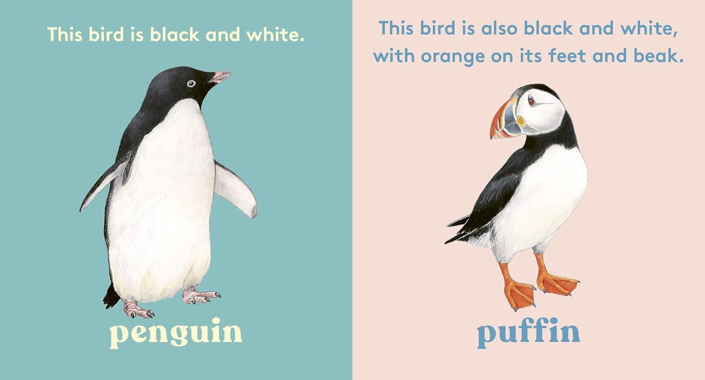 Look! A Bird - By Anya Serota & Christine Berrie