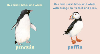 Look! A Bird - By Anya Serota & Christine Berrie