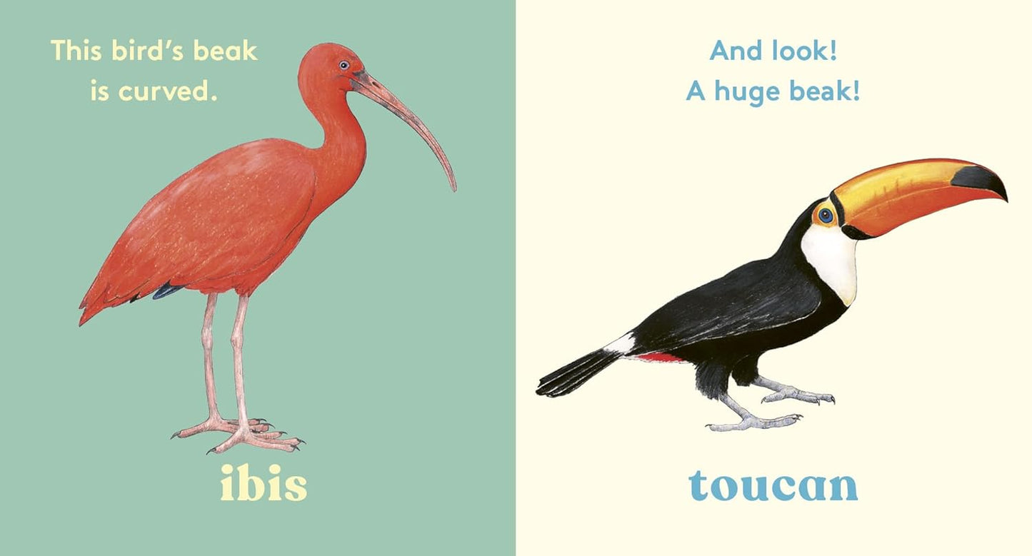 Look! A Bird - By Anya Serota & Christine Berrie
