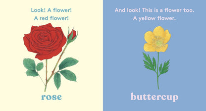 Look! A Flower - By Anya Serota & Christine Berrie