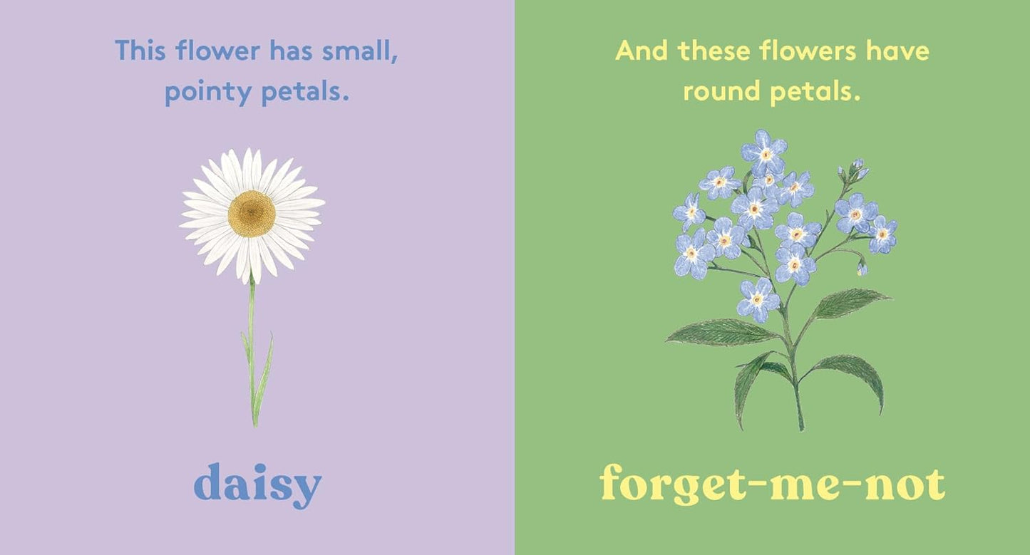 Look! A Flower - By Anya Serota & Christine Berrie