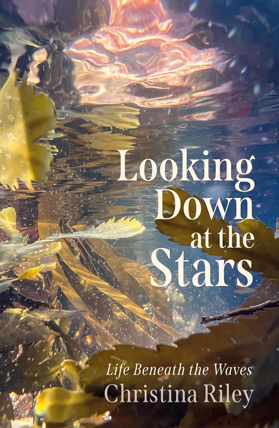 Looking Down at the Stars: Life Beneath the Waves - By Christina Riley