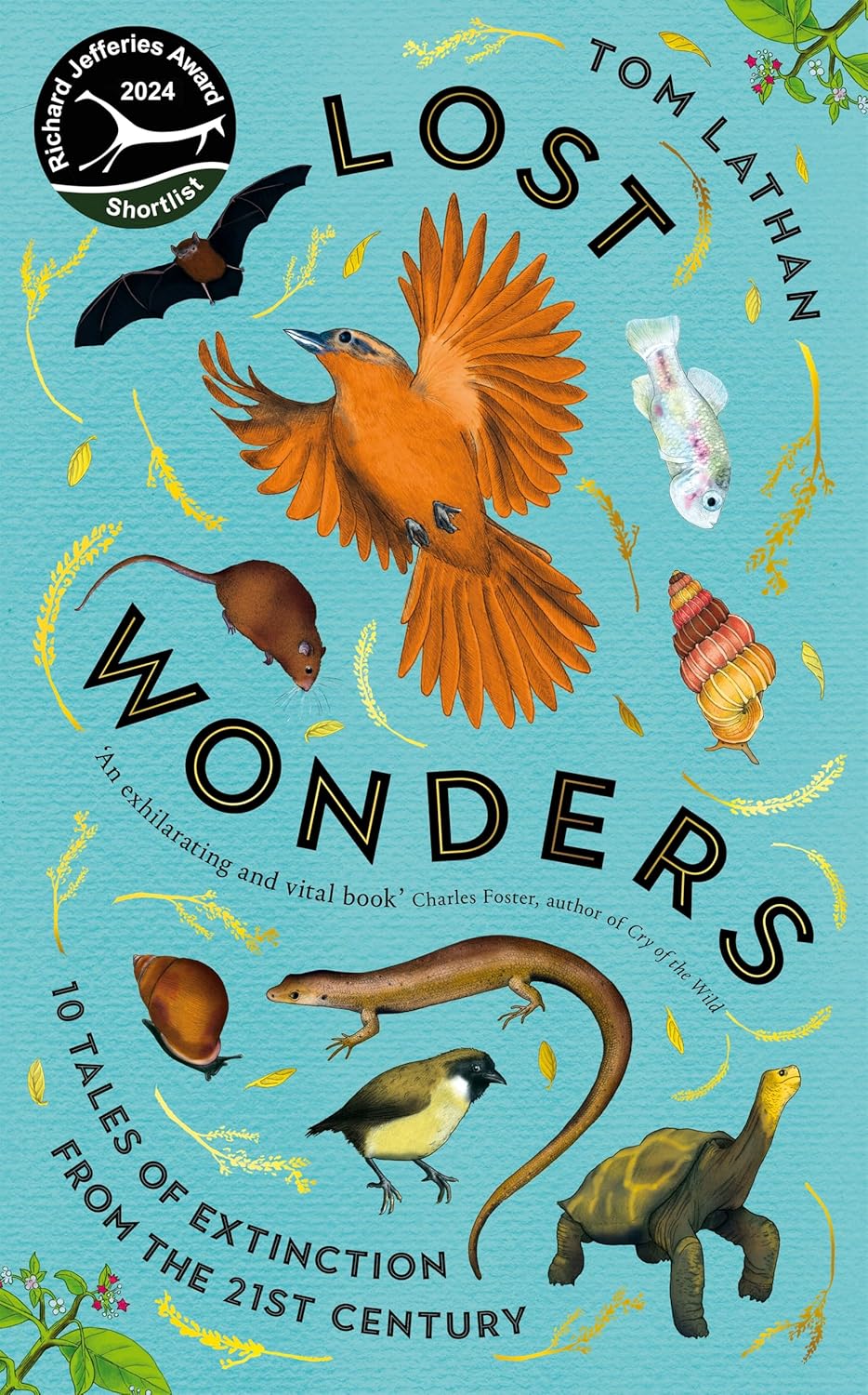Lost Wonder - By Tom Lathan