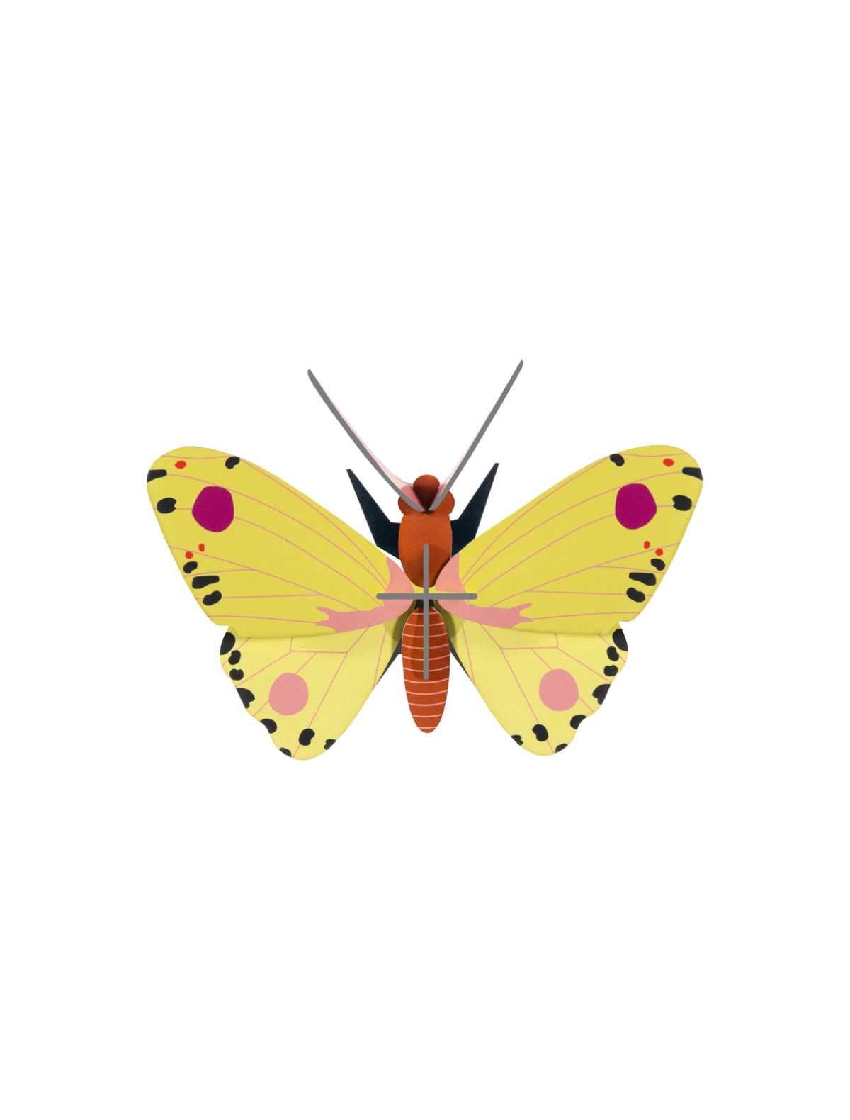 Luzerne Butterfly - StudioROOF