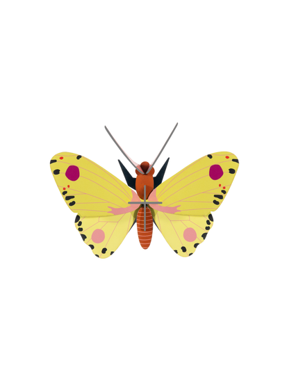 Luzerne Butterfly - StudioROOF