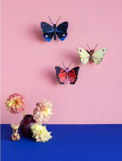 Luzerne Butterfly - StudioROOF