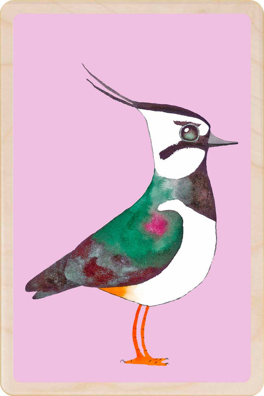 Lapwing Wooden Postcard